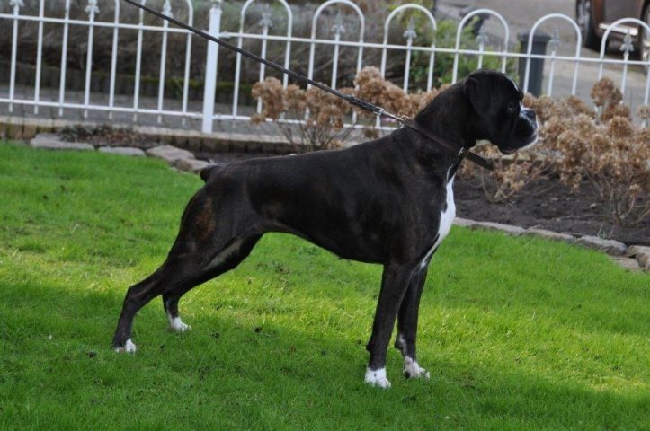 Ruth
